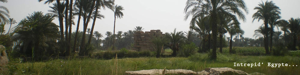 Bannière Intrepid Egypte